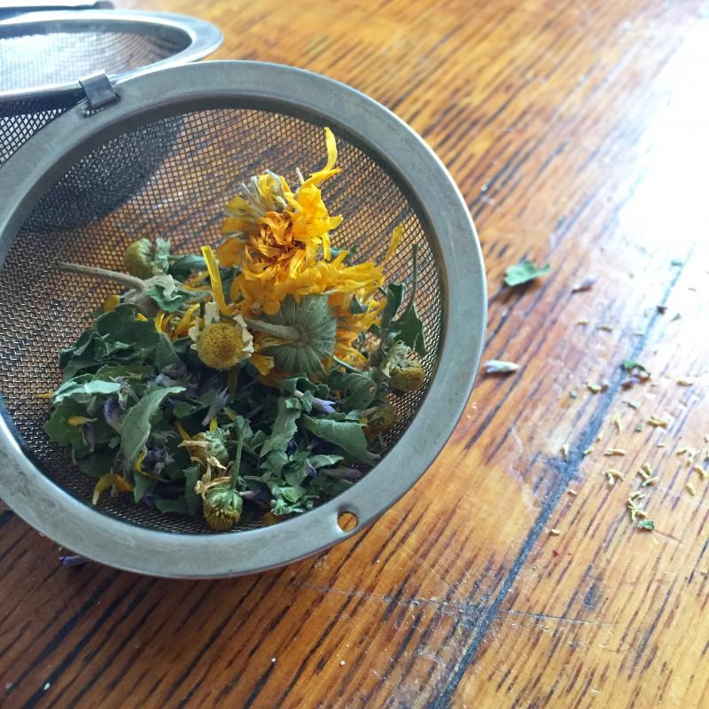 Growing a Medicinal Tea Garden