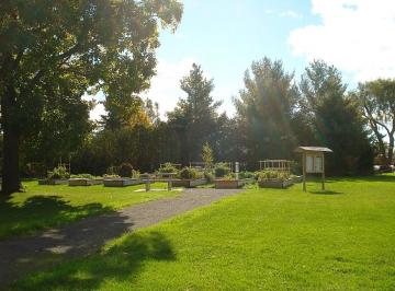 MacLean Park Community Garden