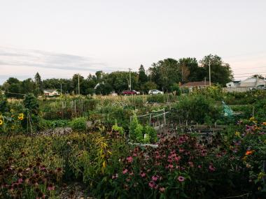 Lakeside Community Garden